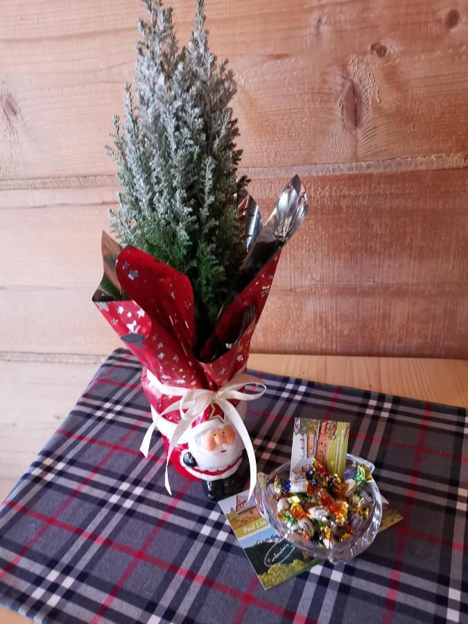Pokoje Goscinne Pod Limbami Ciche Małe Buitenkant foto